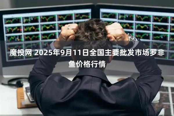 魔投网 2025年9月11日全国主要批发市场罗非鱼价格行情