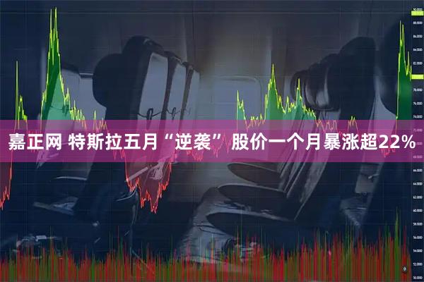 嘉正网 特斯拉五月“逆袭” 股价一个月暴涨超22%
