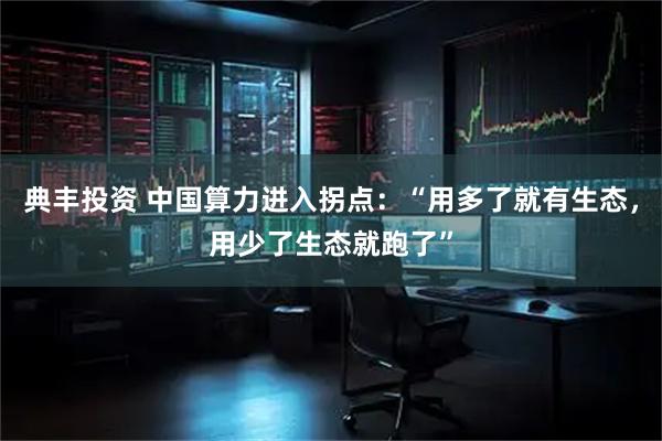 典丰投资 中国算力进入拐点：“用多了就有生态，用少了生态就跑了”