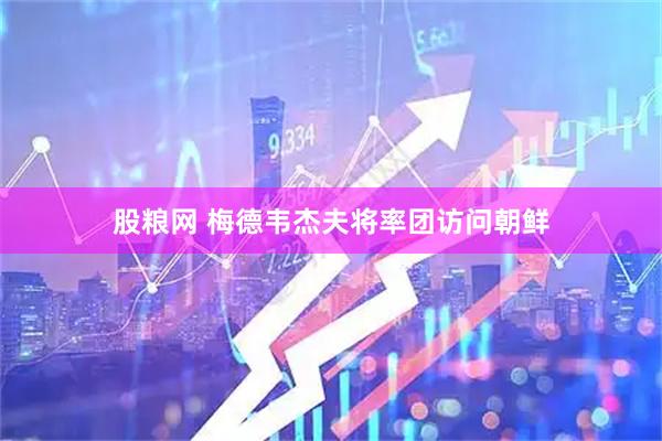 股粮网 梅德韦杰夫将率团访问朝鲜