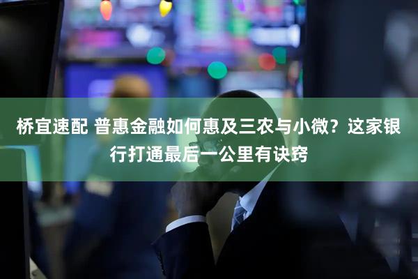 桥宜速配 普惠金融如何惠及三农与小微？这家银行打通最后一公里有诀窍
