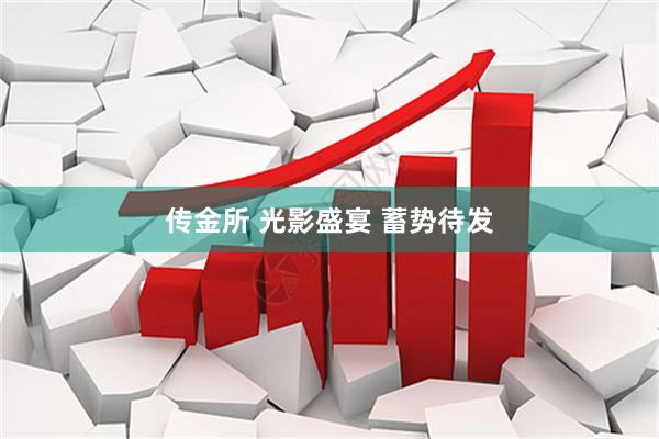 传金所 光影盛宴 蓄势待发