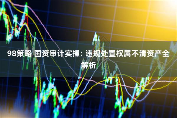 98策略 国资审计实操: 违规处置权属不清资产全解析