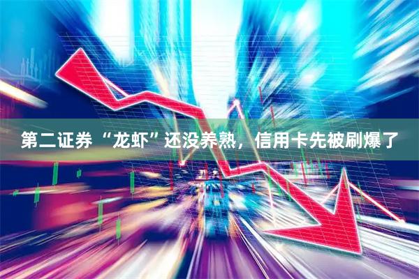 第二证券 “龙虾”还没养熟，信用卡先被刷爆了